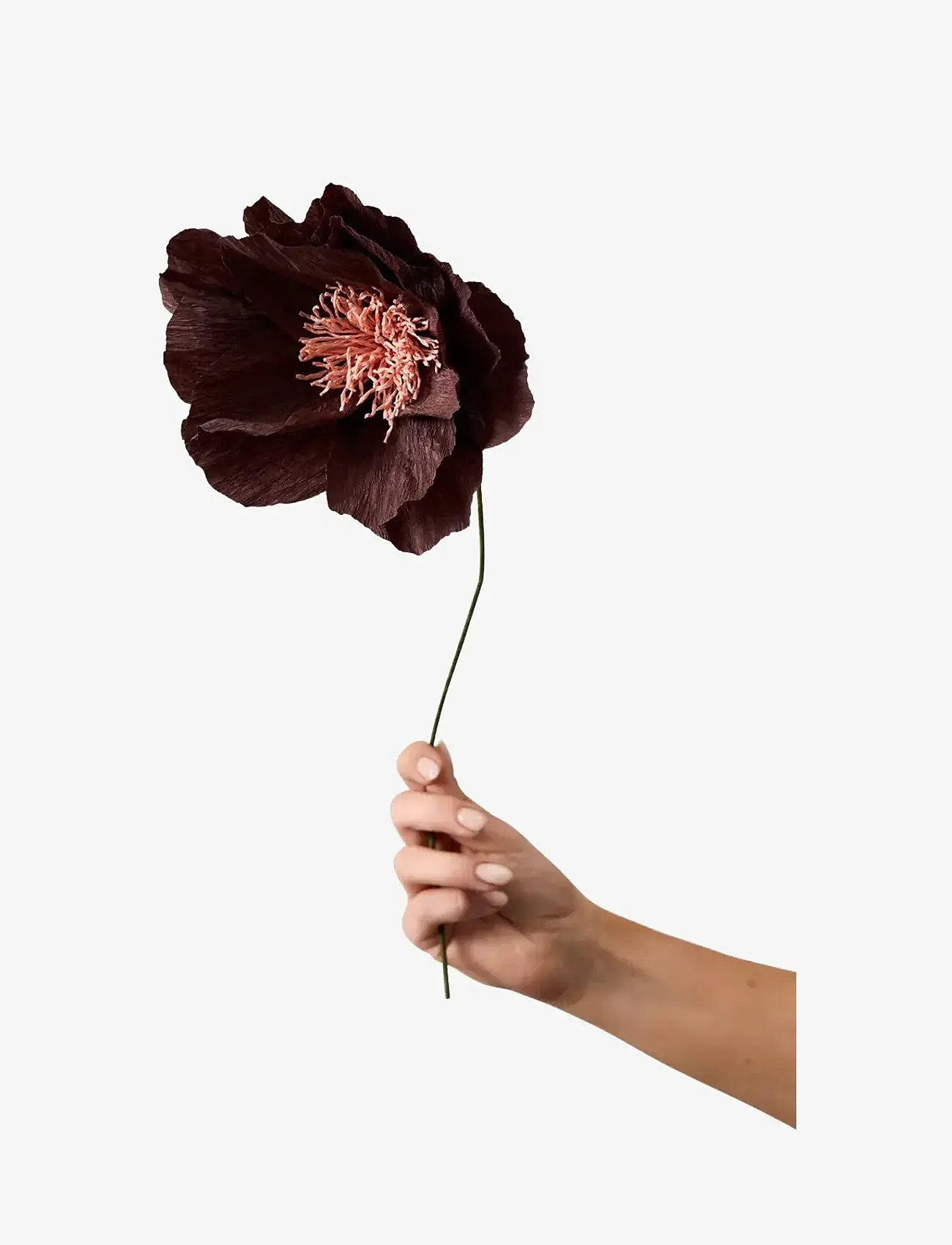 Studio About - PAPER FLOWER - valentinsgaver - brown - 1