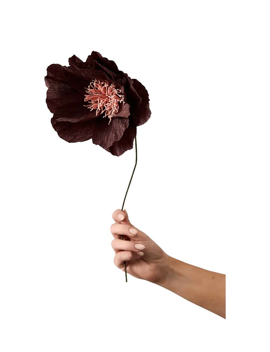 Studio About - PAPER FLOWER - die niedrigsten preise - brown - 0