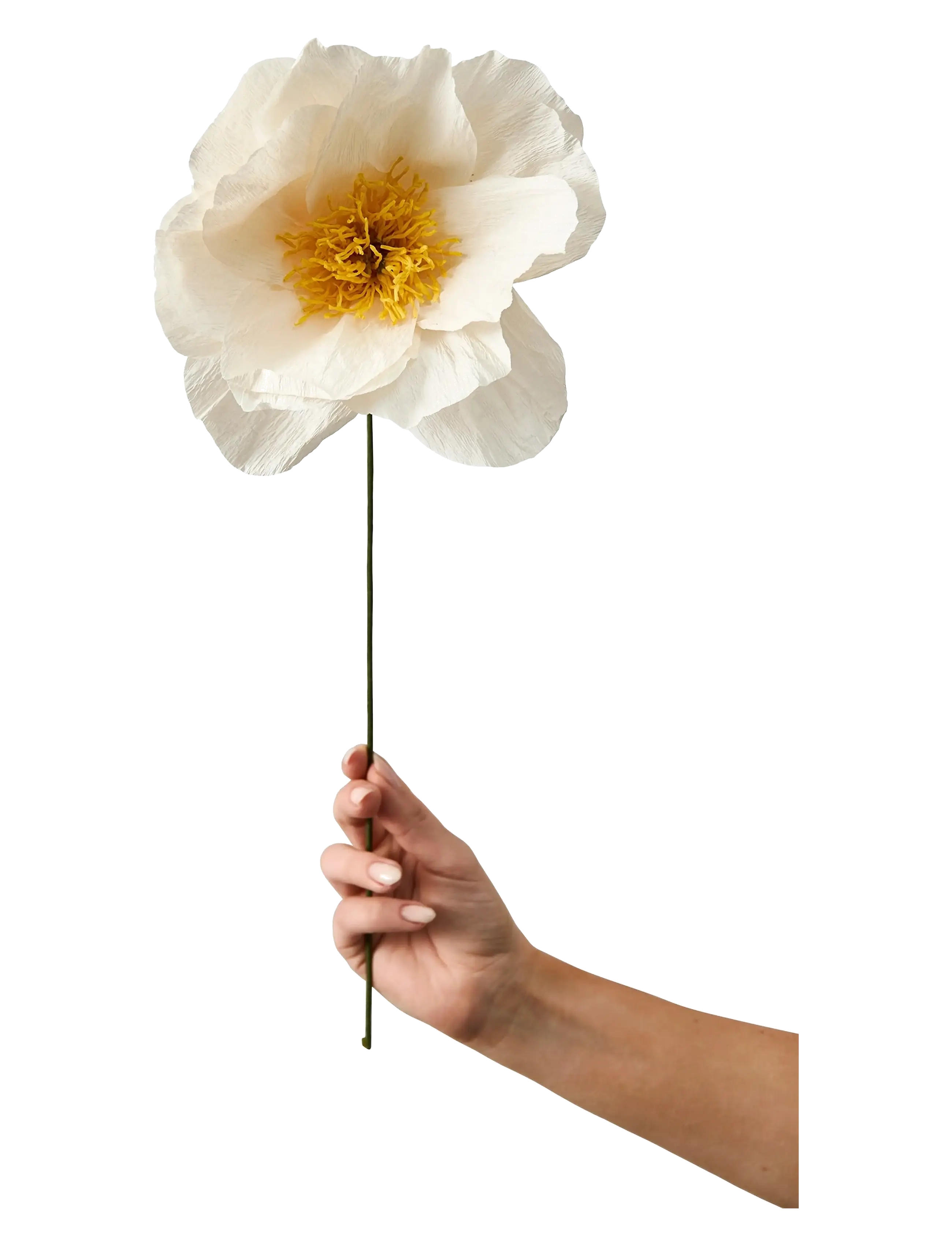 STUDIO ABOUT Paper Flower Weiß - One Size - Unisex