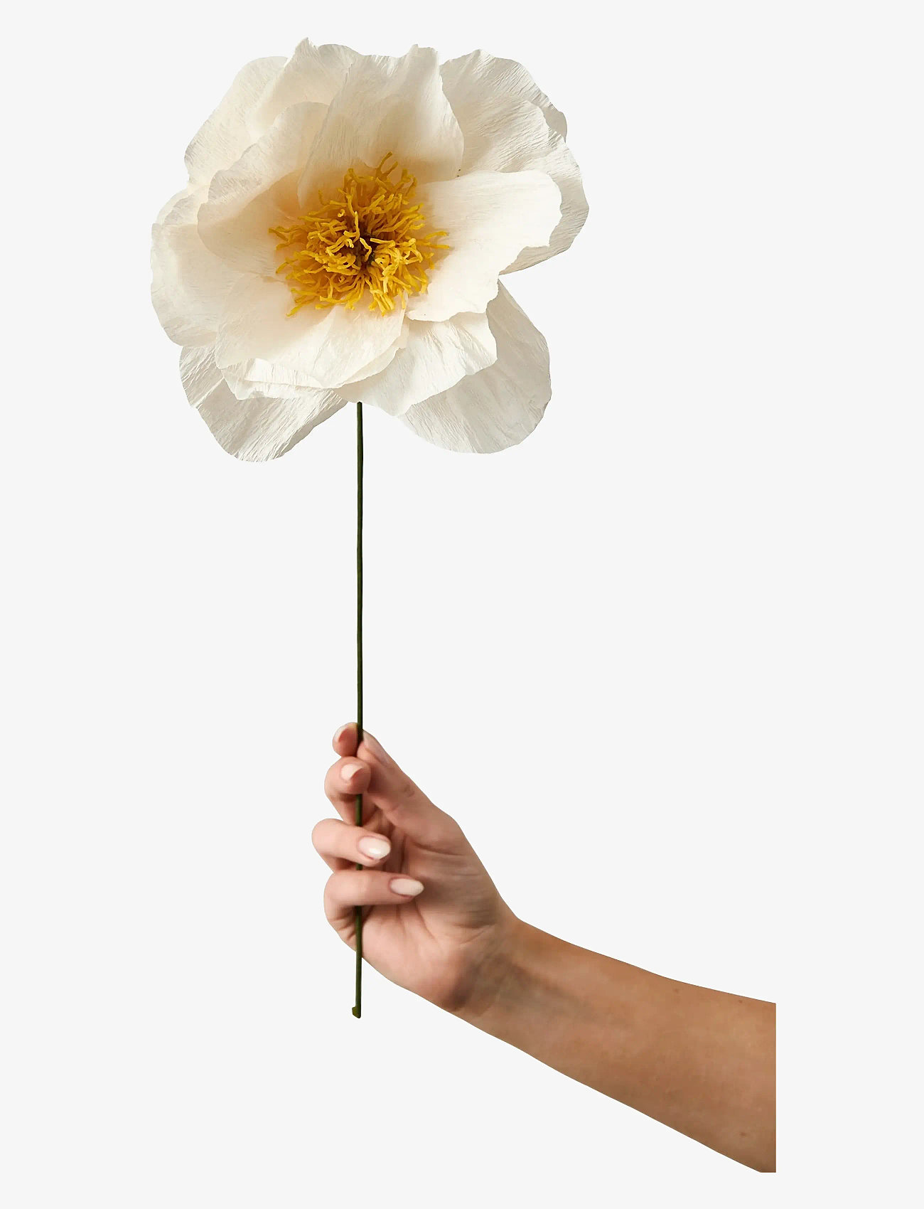 Studio About - PAPER FLOWER - madalaimad hinnad - true - 0