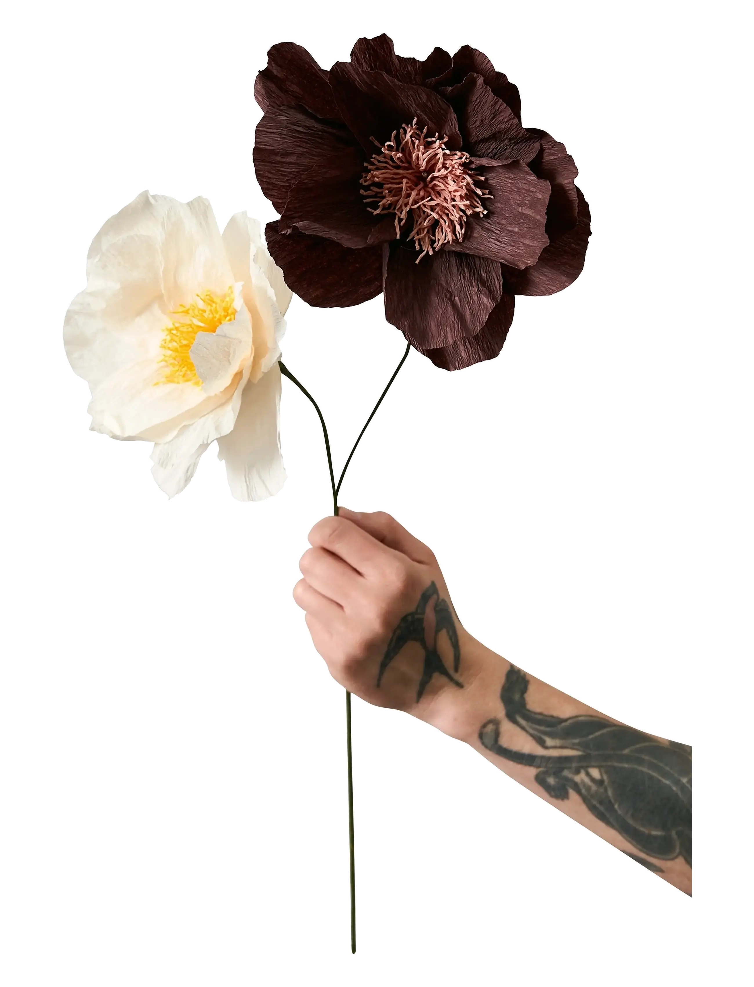 Studio About - PAPER FLOWER - die niedrigsten preise - true - 1