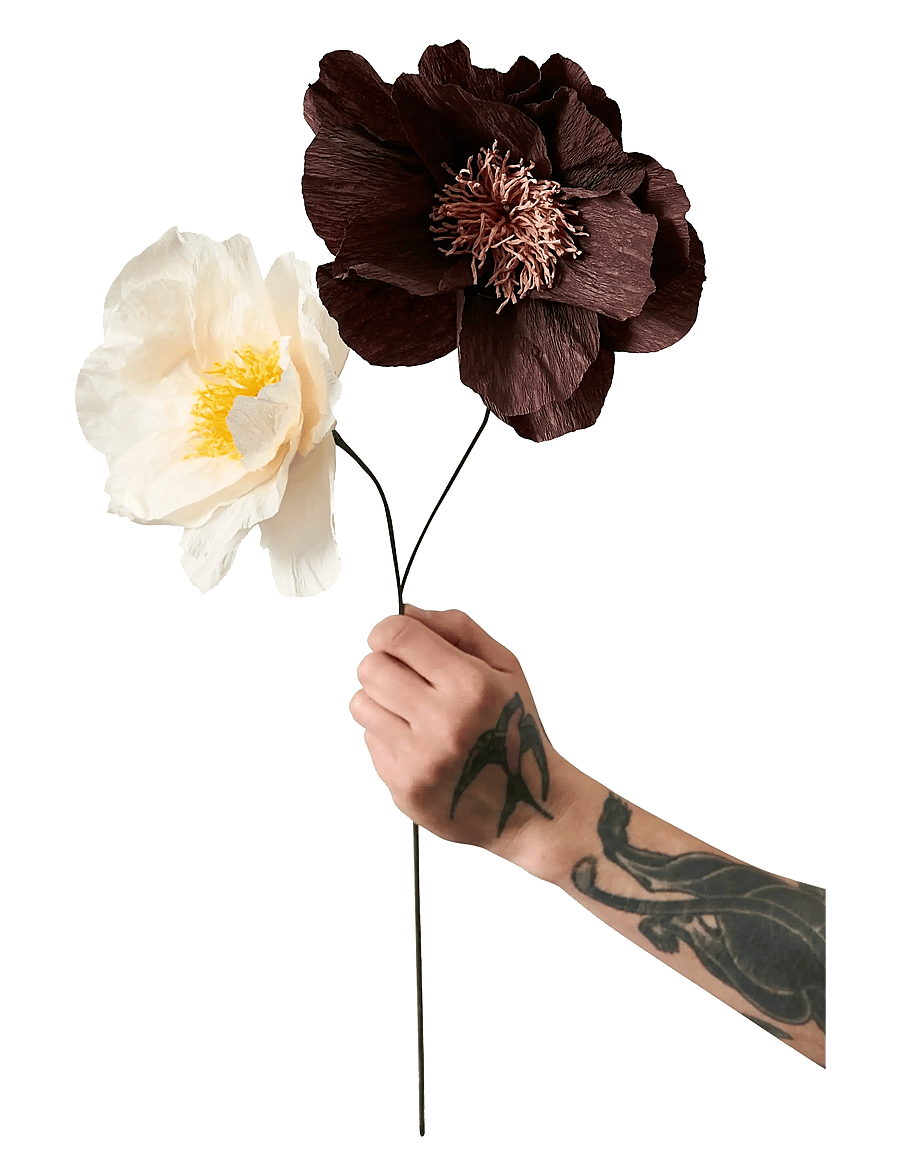 Studio About - PAPER FLOWER - die niedrigsten preise - true - 1