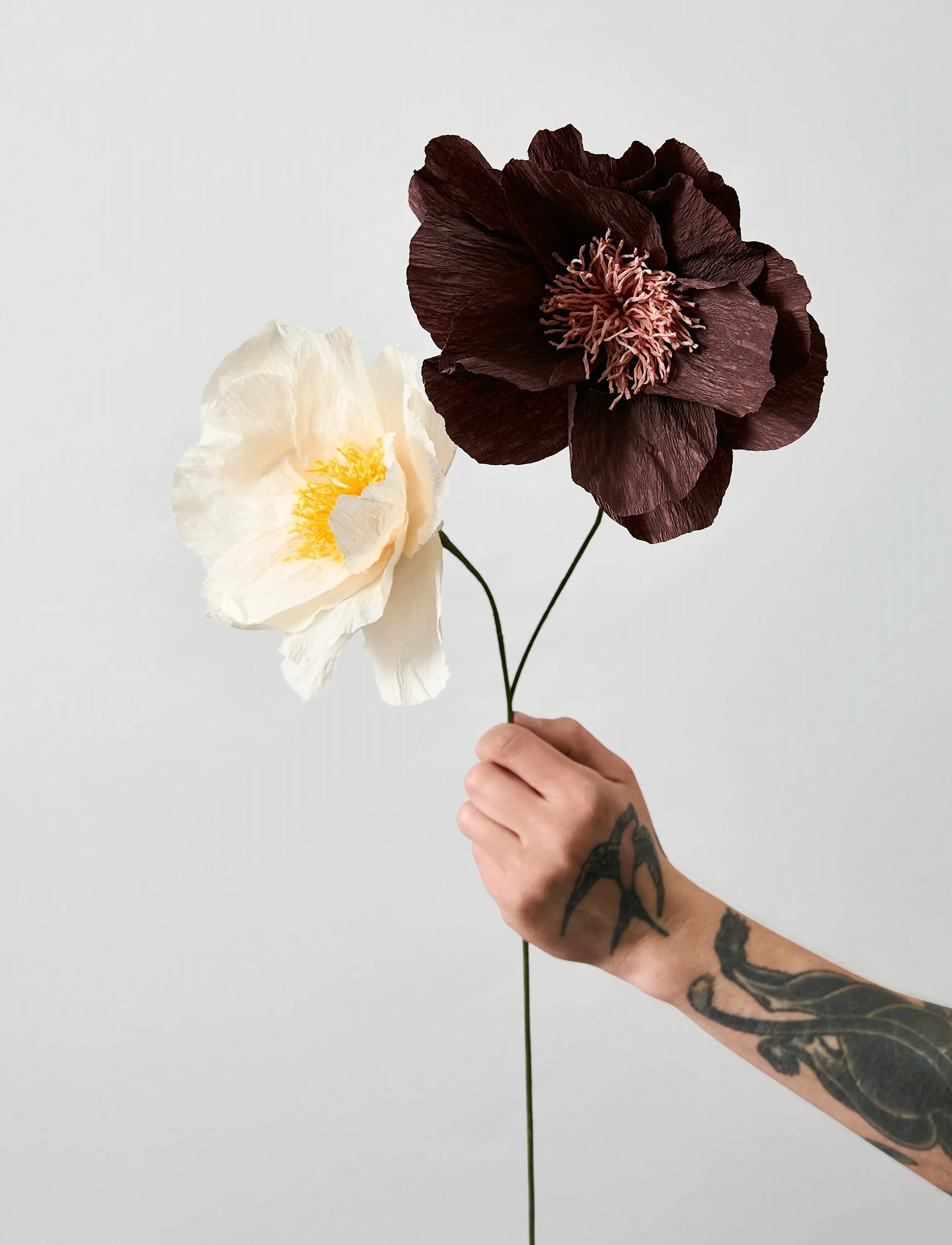 Studio About - PAPER FLOWER - die niedrigsten preise - true - 4