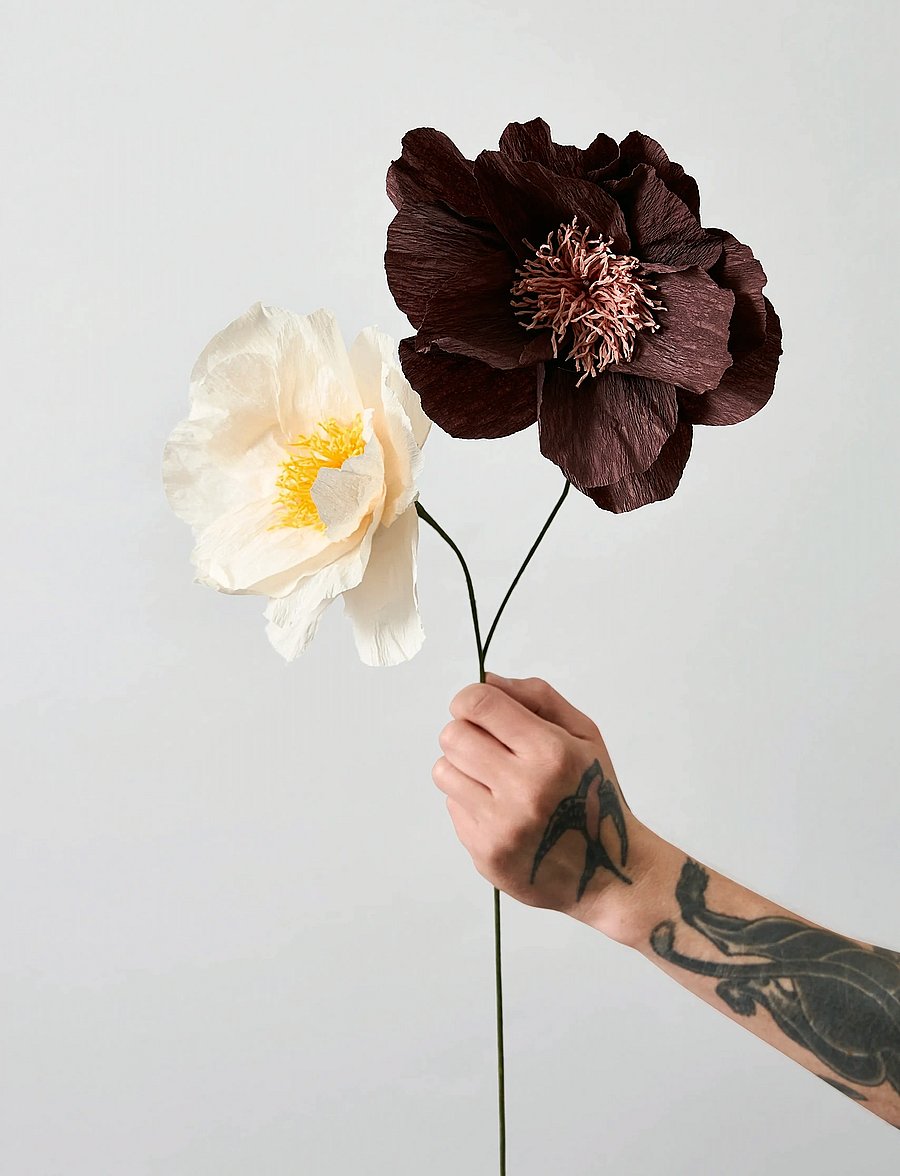 Studio About - PAPER FLOWER - die niedrigsten preise - true - 4