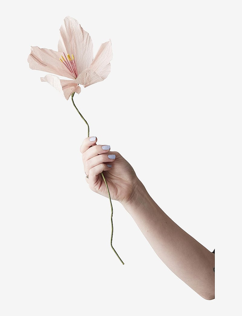 Studio About - PAPER FLOWER - madalaimad hinnad - rose - 0