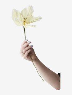 PAPER FLOWER, Studio About