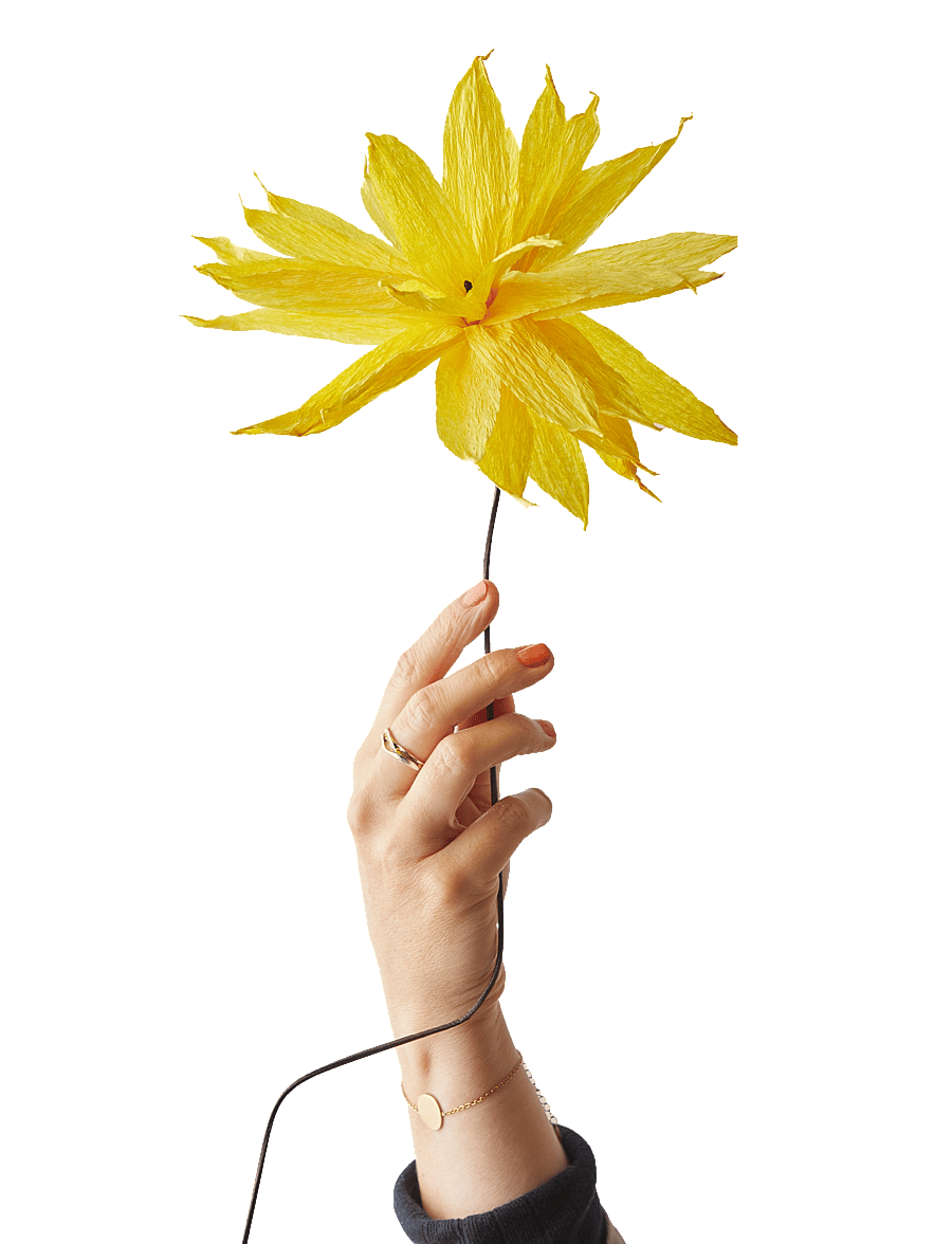 Studio About - PAPER FLOWER - kuivatatud lilled - yellow - 1