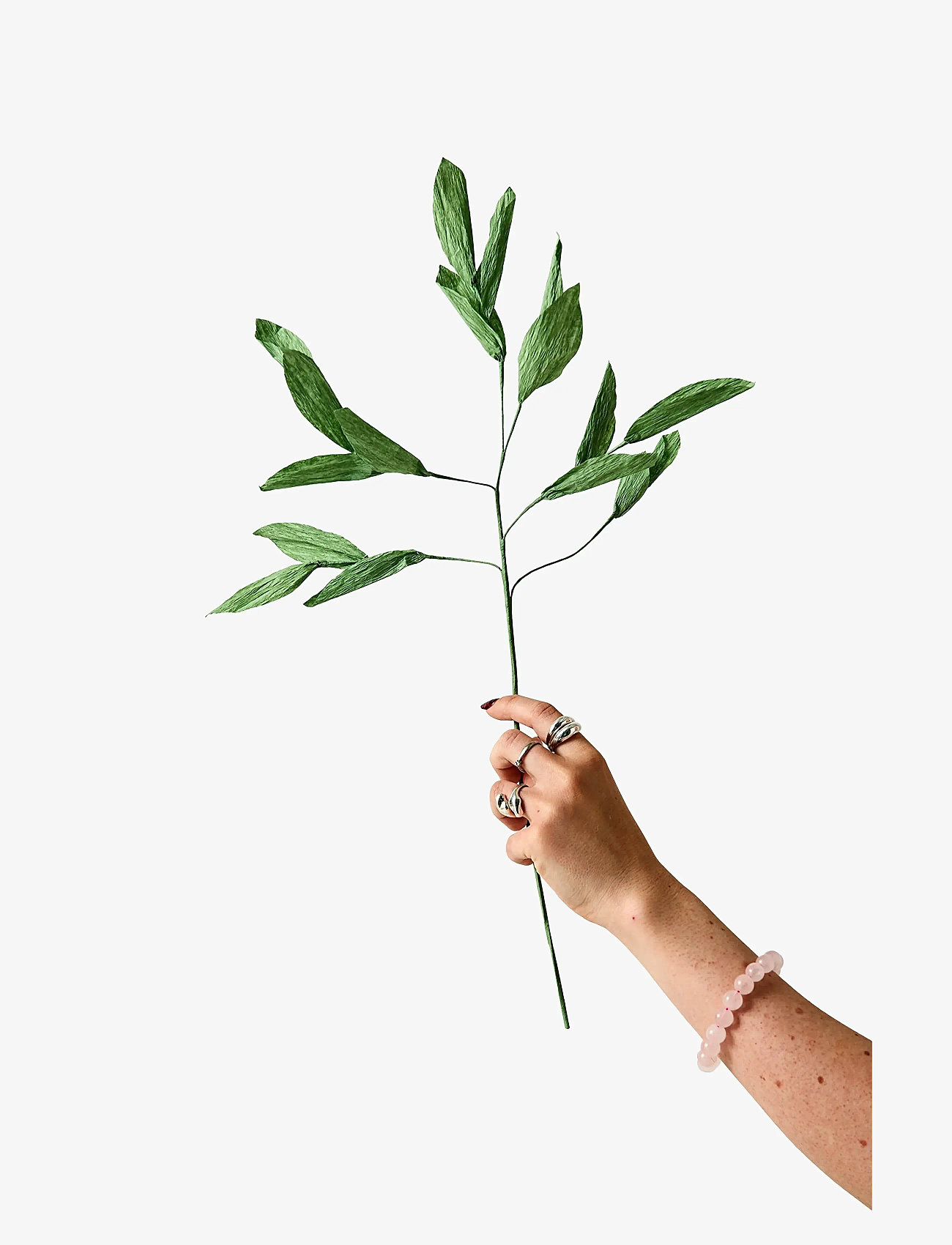 Studio About - PAPER FLOWER, BRANCH WITH DETAILED LEAFS, GREEN - green - 1