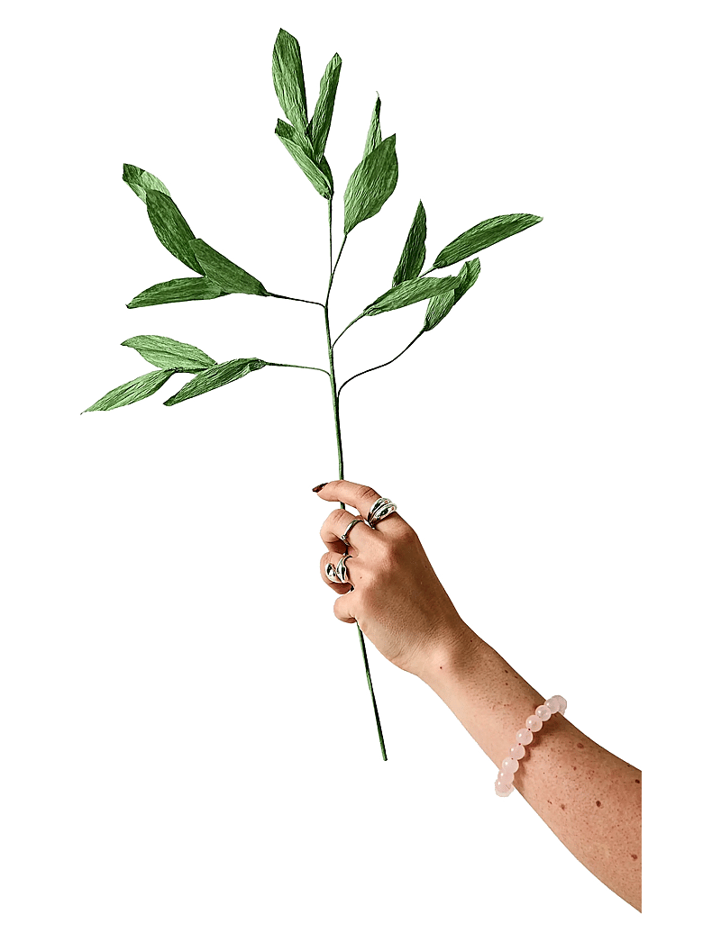 Studio About - PAPER FLOWER, BRANCH WITH DETAILED LEAFS, GREEN - green - 1
