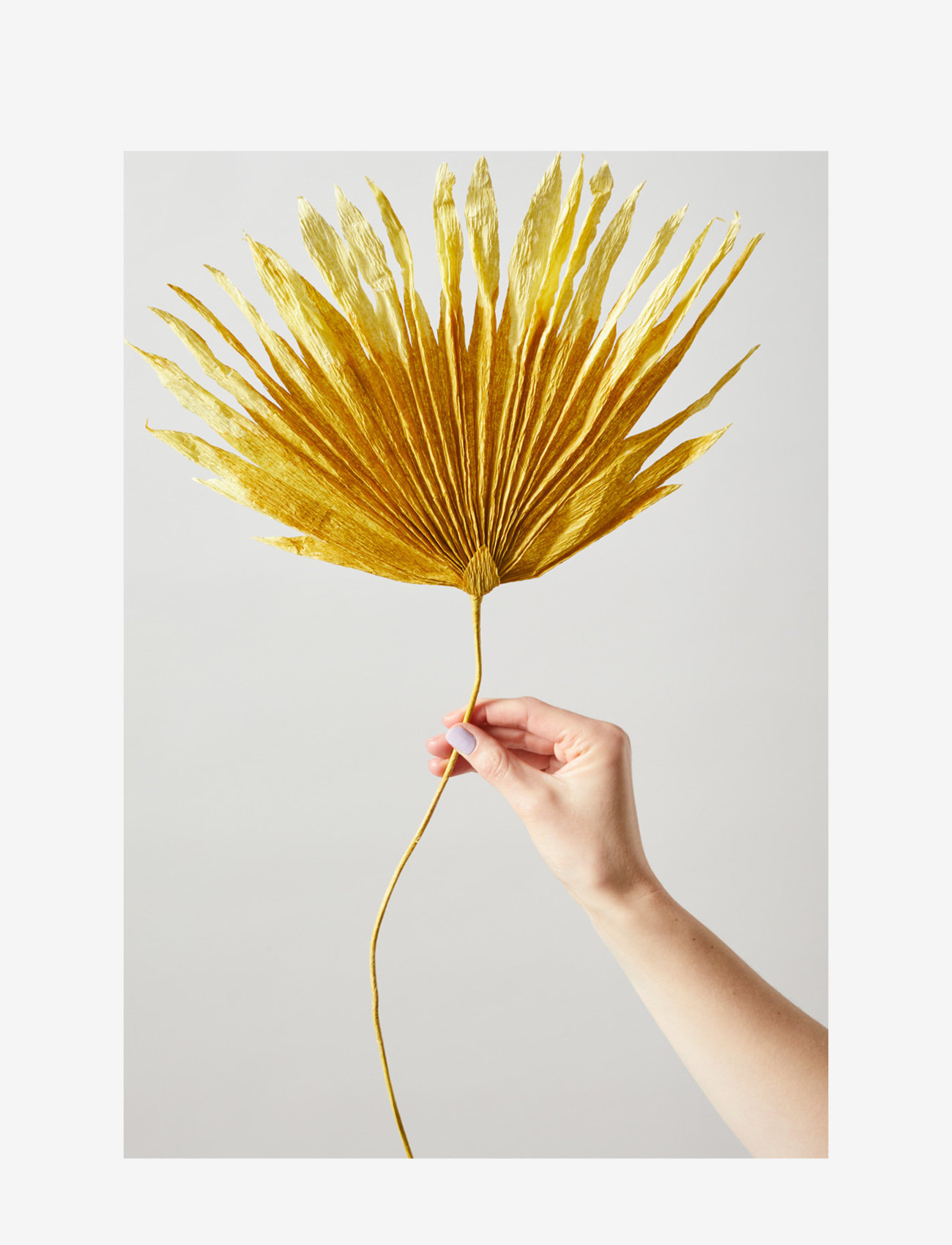 Studio About - PAPER FLOWER, PALM - madalaimad hinnad - ochra - 1