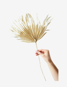 PAPER FLOWER, PALM, Studio About