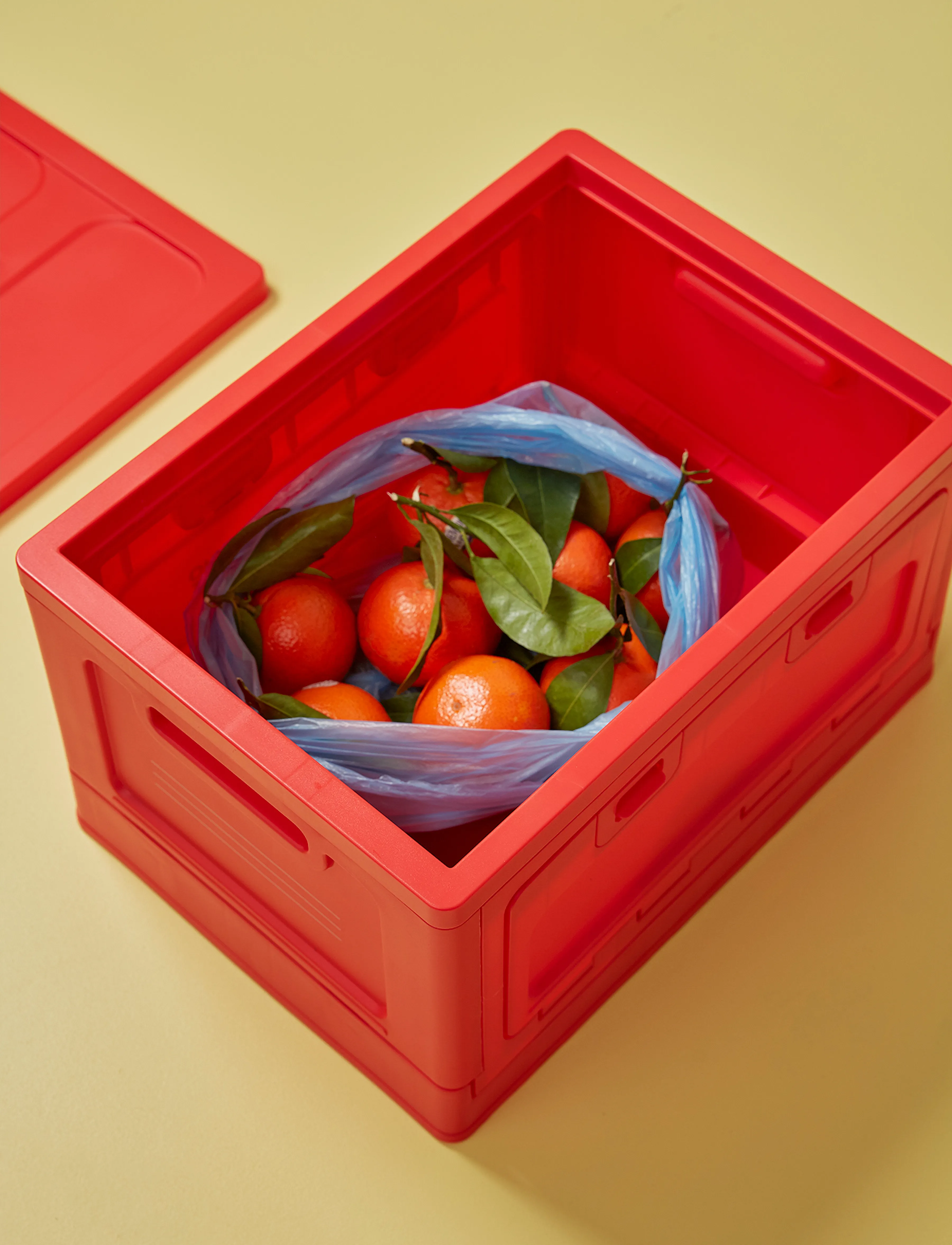 Studio About - BOX - lowest prices - red - 3