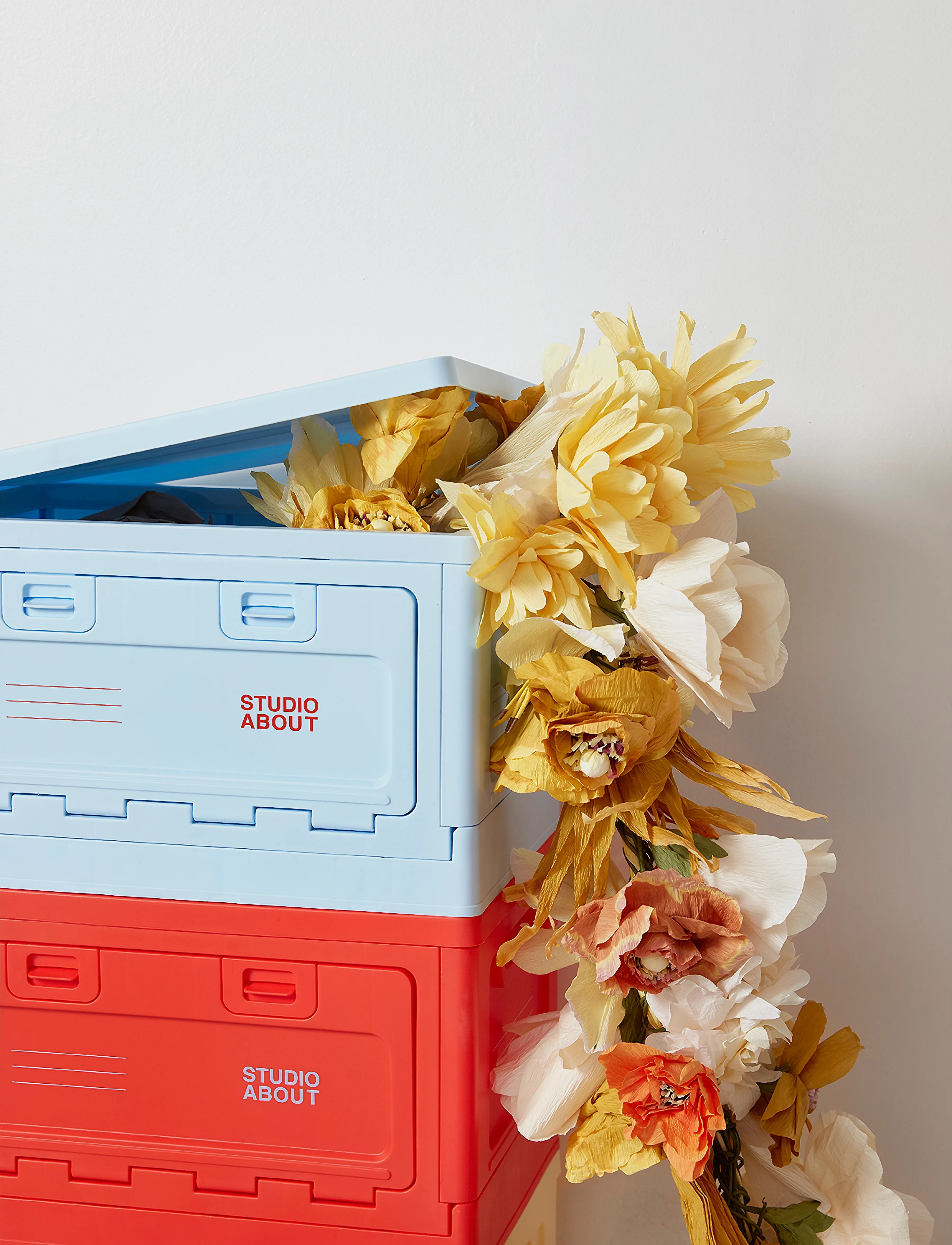 Studio About - BOX - lowest prices - red - 5