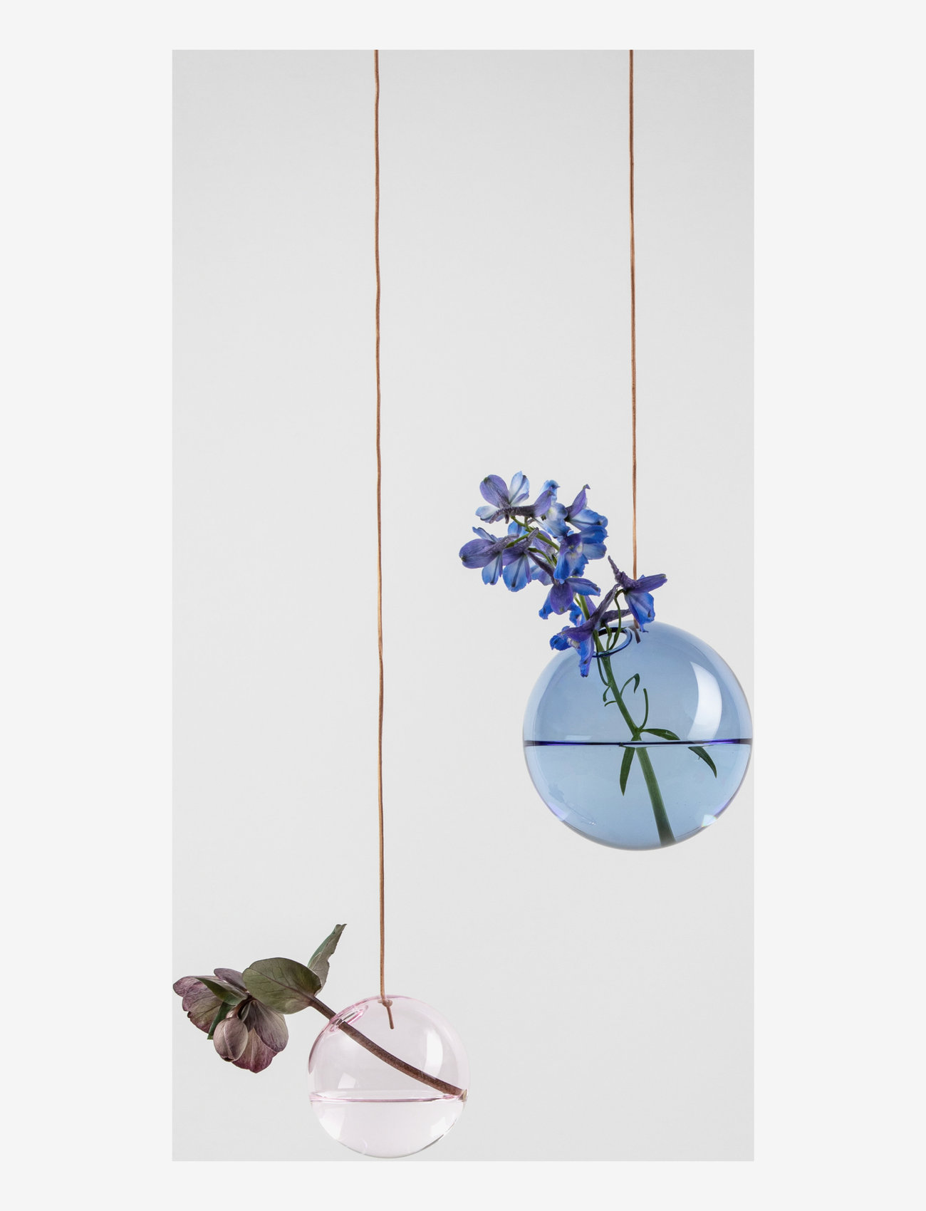 Studio About - HANGING FLOWER BUBBLE - lowest prices - rose - 2