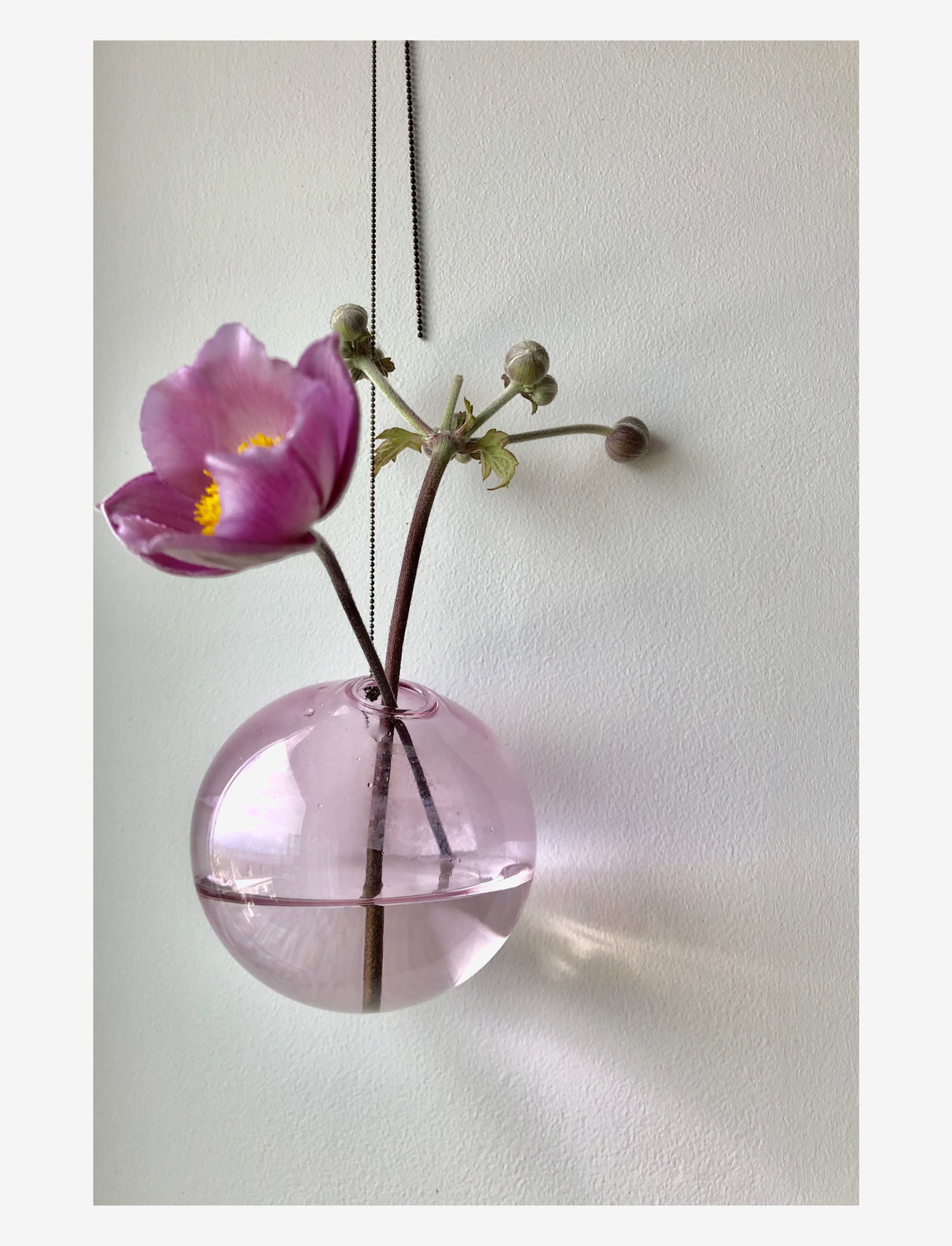 Studio About - HANGING FLOWER BUBBLE - lowest prices - rose - 5