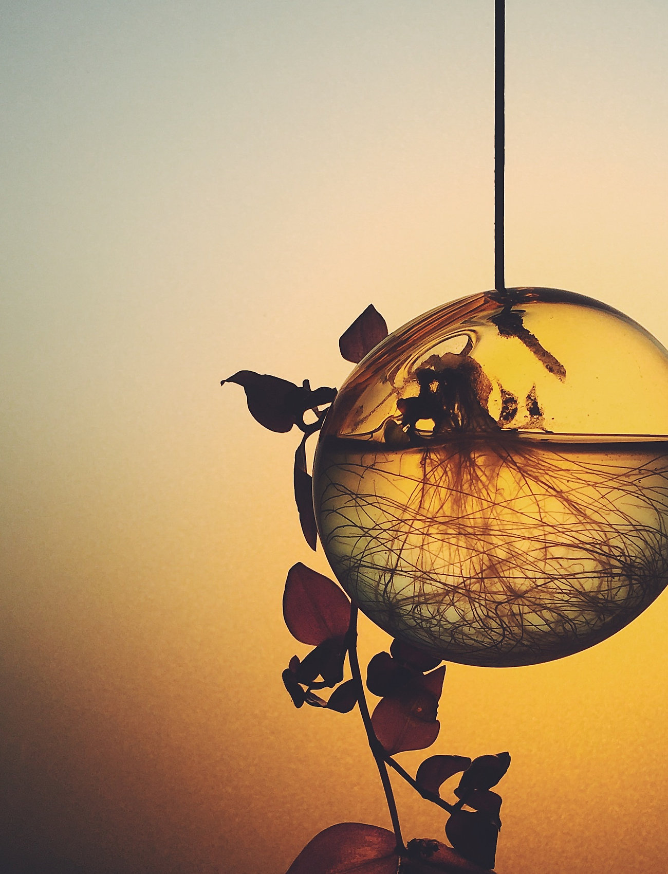 Studio About - HANGING FLOWER BUBBLE - vaser - yellow - 3
