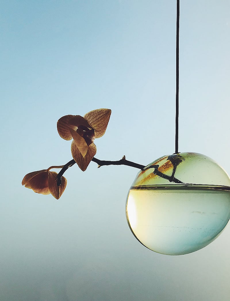 Studio About - HANGING FLOWER BUBBLE - vaasid - yellow - 4