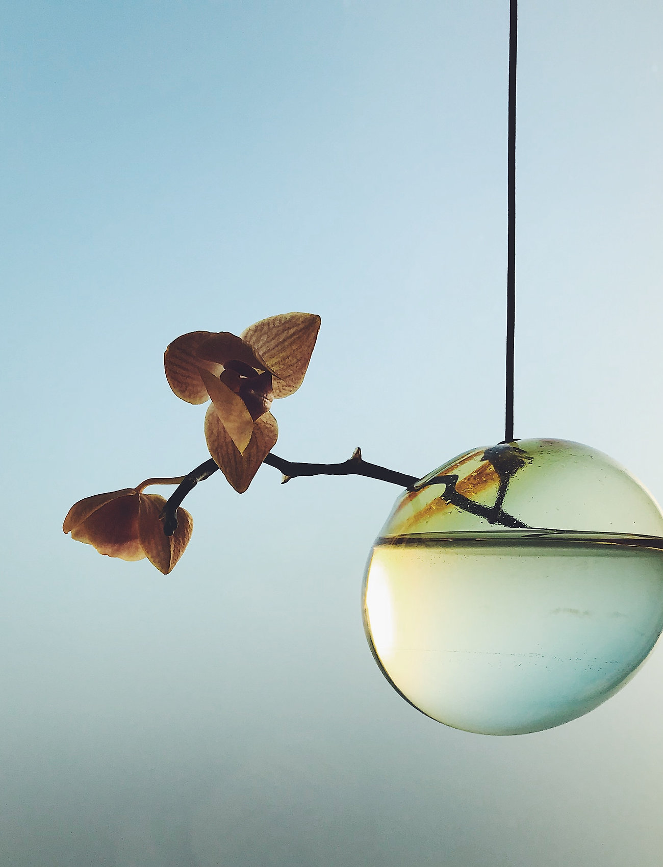 Studio About - HANGING FLOWER BUBBLE - vaser - yellow - 4