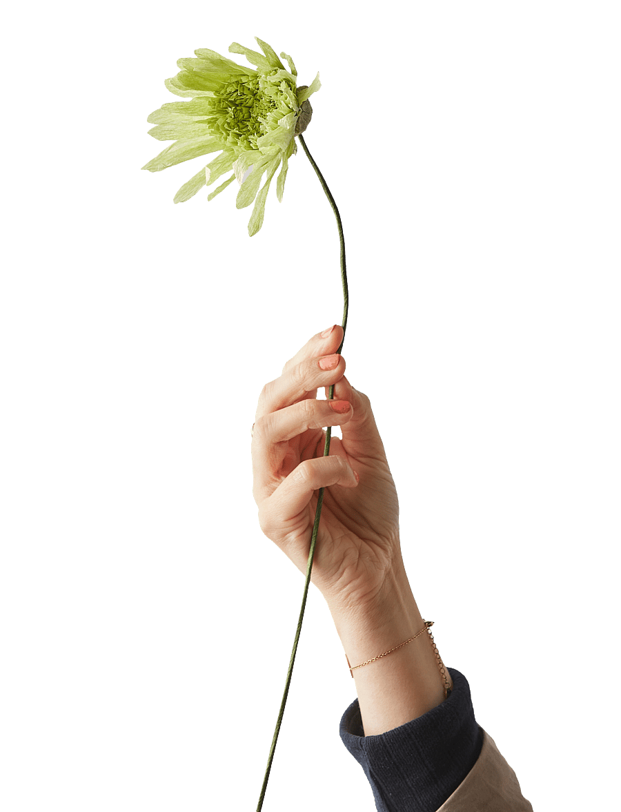 Studio About - PAPER FLOWER - kuivatatud lilled - green - 1
