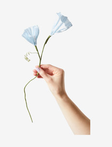 PAPER FLOWER, MORNING GLORY, Studio About