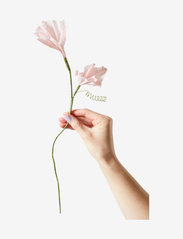 Studio About - PAPER FLOWER, MORNING GLORY - laveste priser - rose - 0