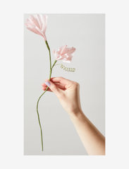 Studio About - PAPER FLOWER, MORNING GLORY - lägsta priserna - rose - 1