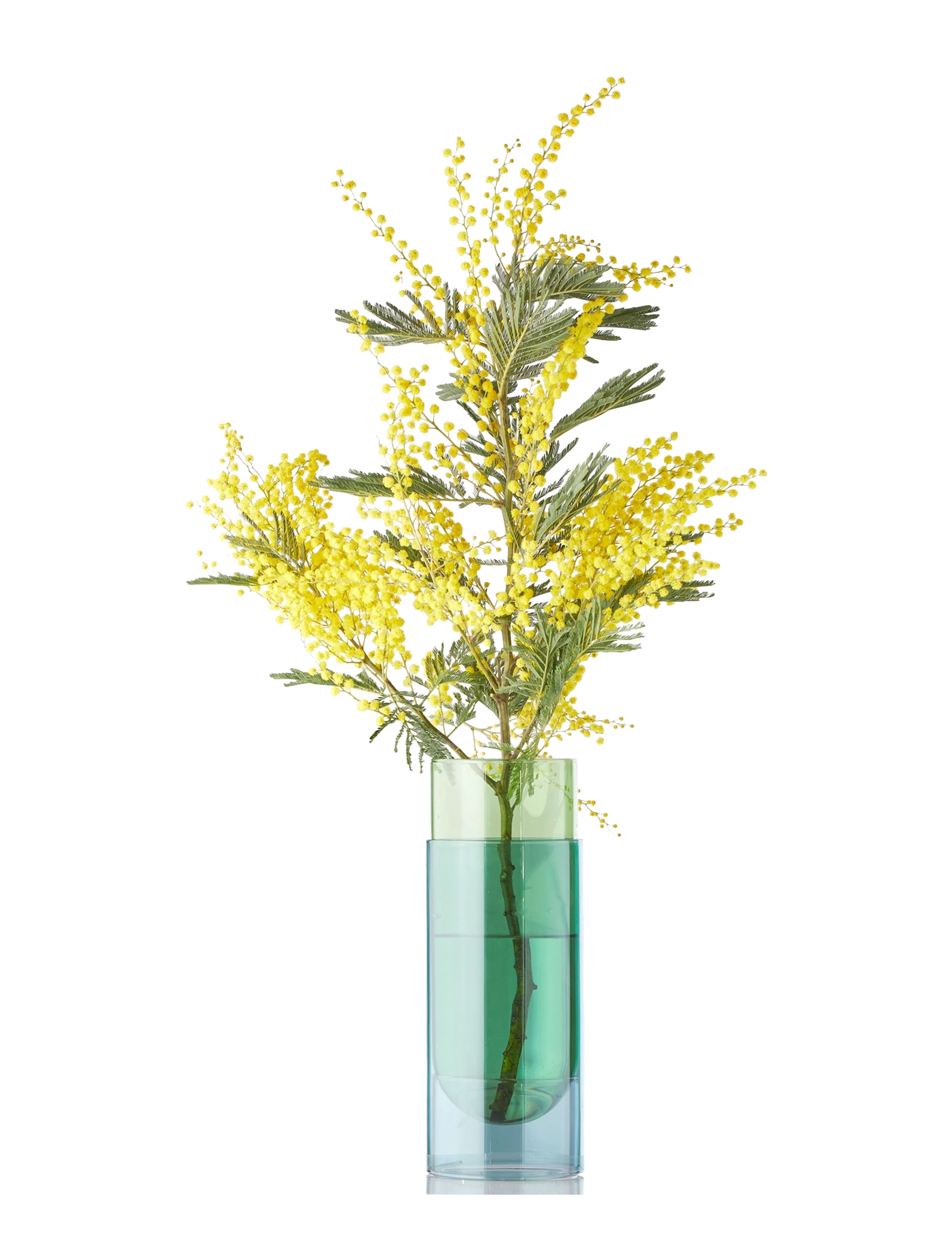 STUDIO ABOUT Bouquet Tube Grün - H27CM - Unisex
