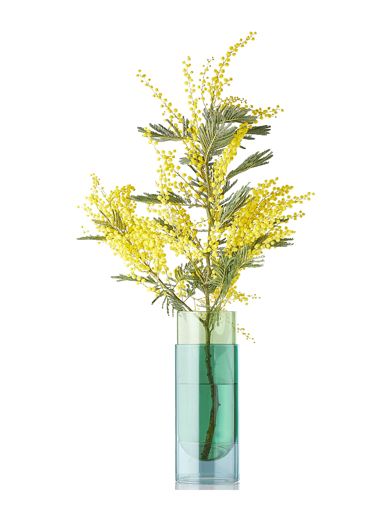 Studio About - BOUQUET TUBE - sünnipäevakingitused - green - 0