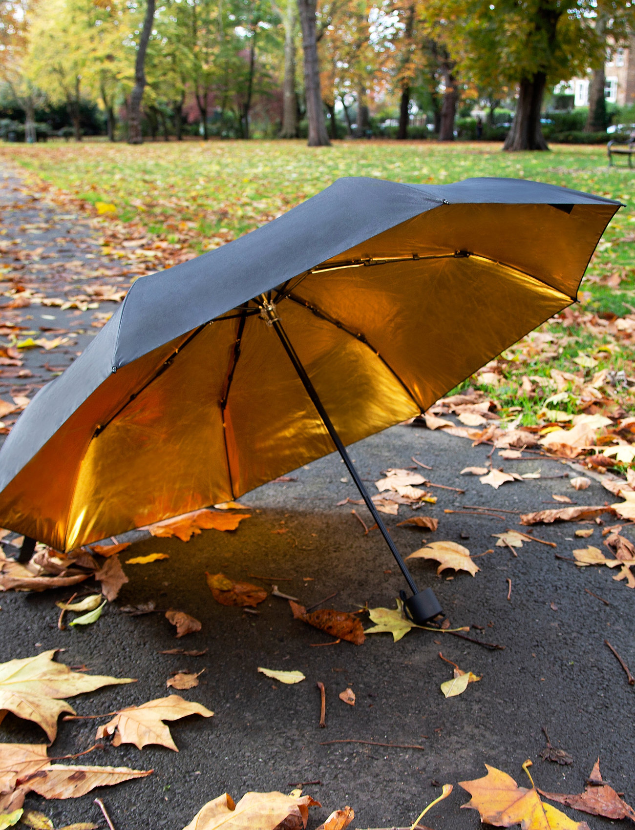 Suck UK Black & Gold Umbrella, One Size, Accessories, Schwarz - Umbrellas, Frauen