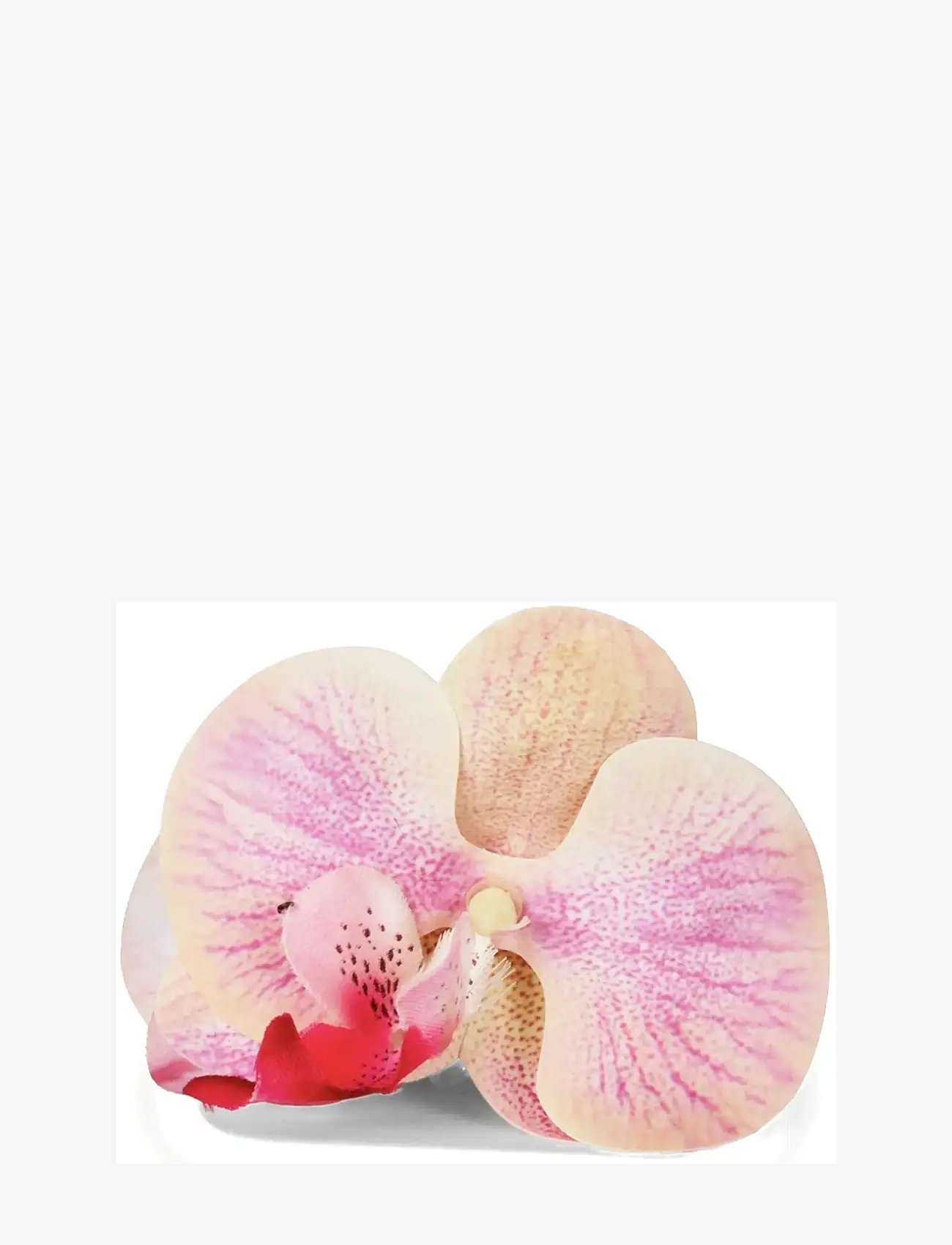 SUI AVA - Orchid Middle - die niedrigsten preise - pink - 1