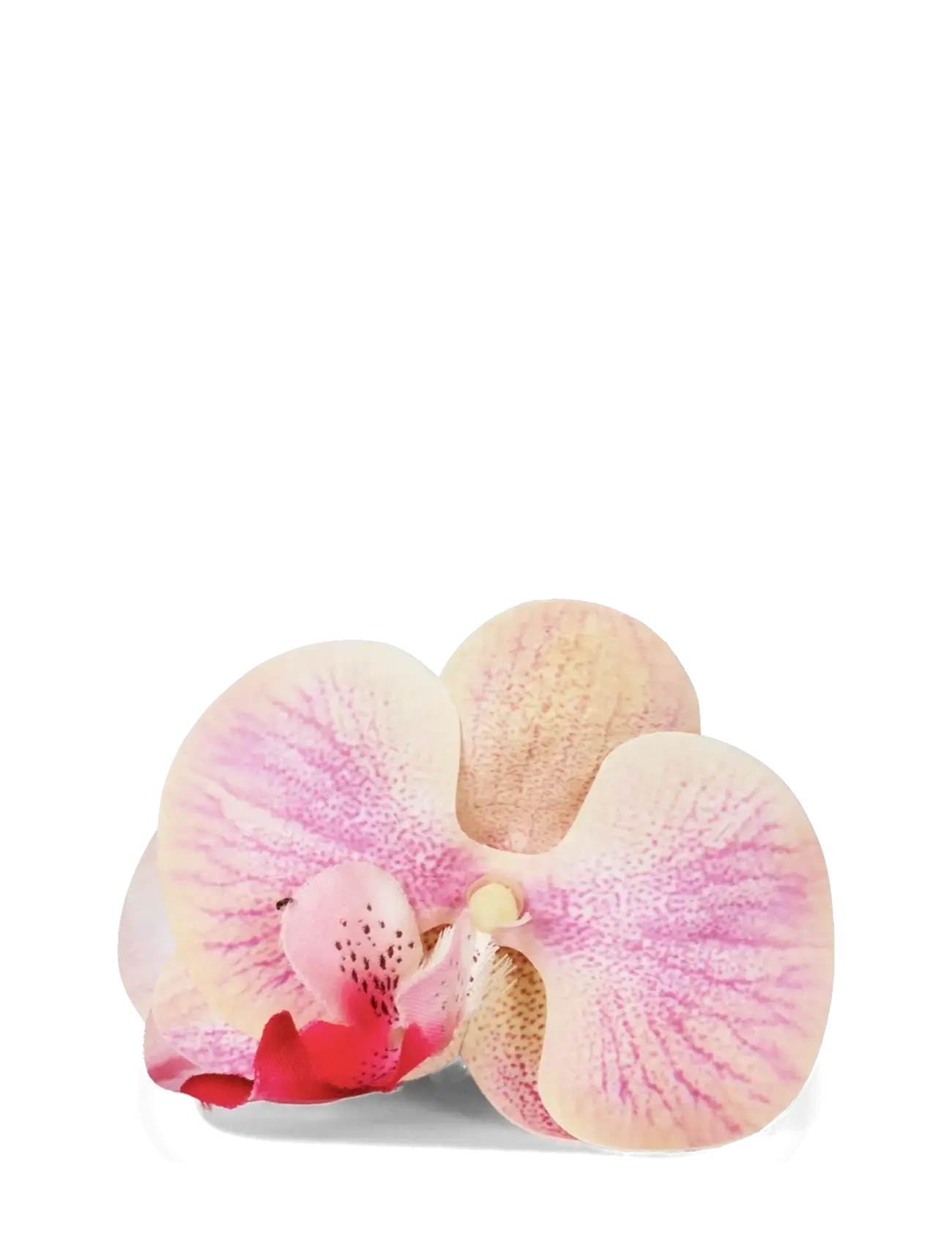 SUI AVA Orchid Middle - Accessoires - PINK / pink/rose