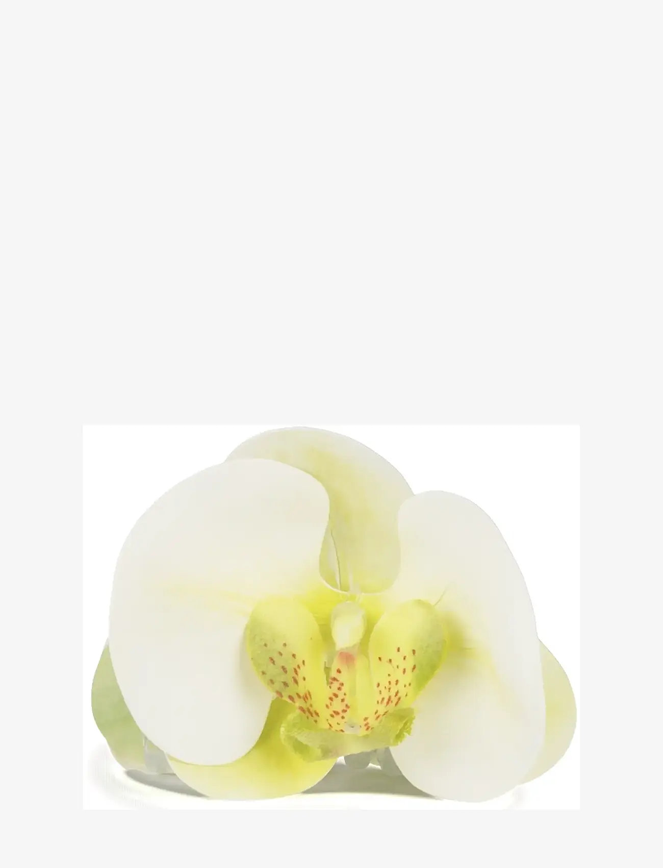 SUI AVA - Orchid Middle - laagste prijzen - green - 1