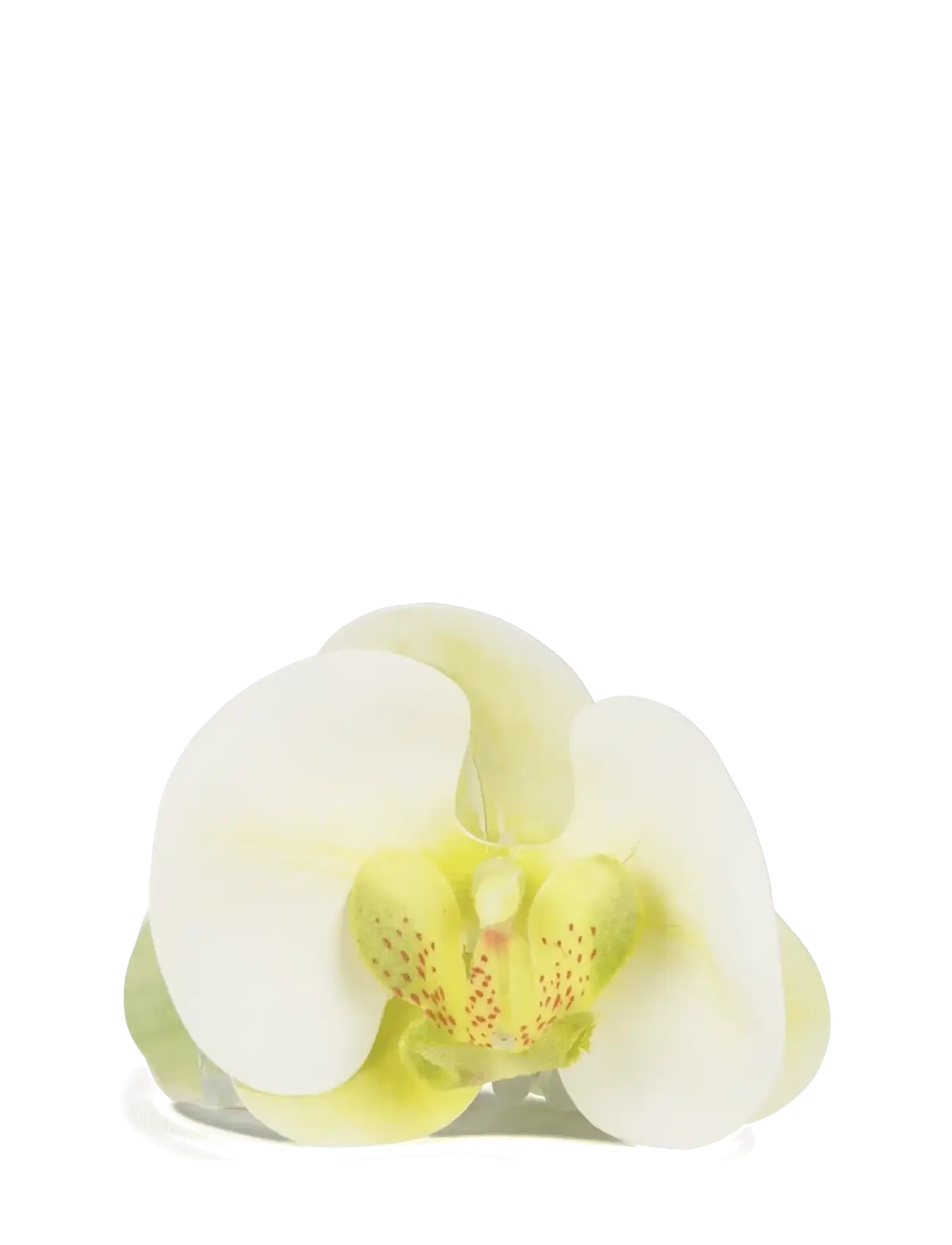 SUI AVA Orchid Middle - Hiusklipsi - GREEN / cream