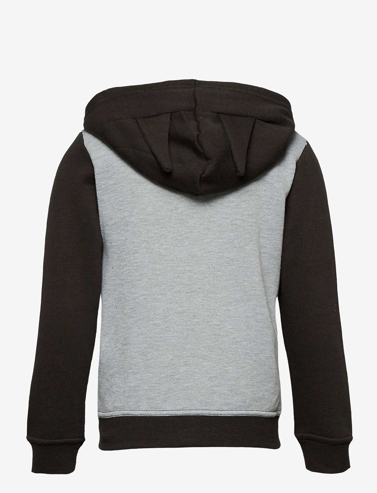 DC Super Heroes - SWEAT CAPUCHE - lgrey - 1