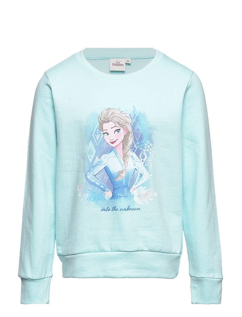 Frozen Sweats (SCDVH1096-BIO) Sweatshirts - Main Image