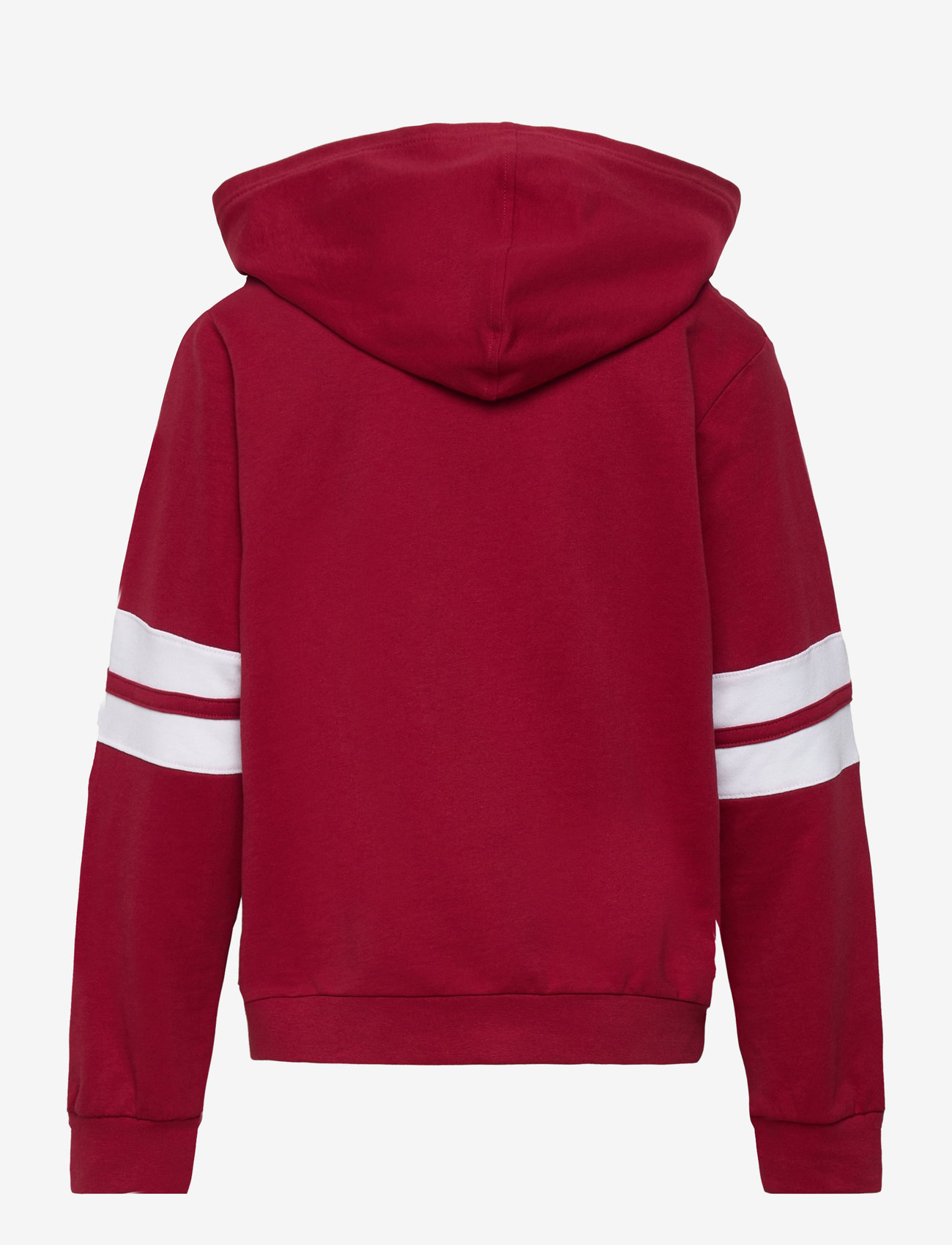 Harry Potter - SWEATS - dred - 1