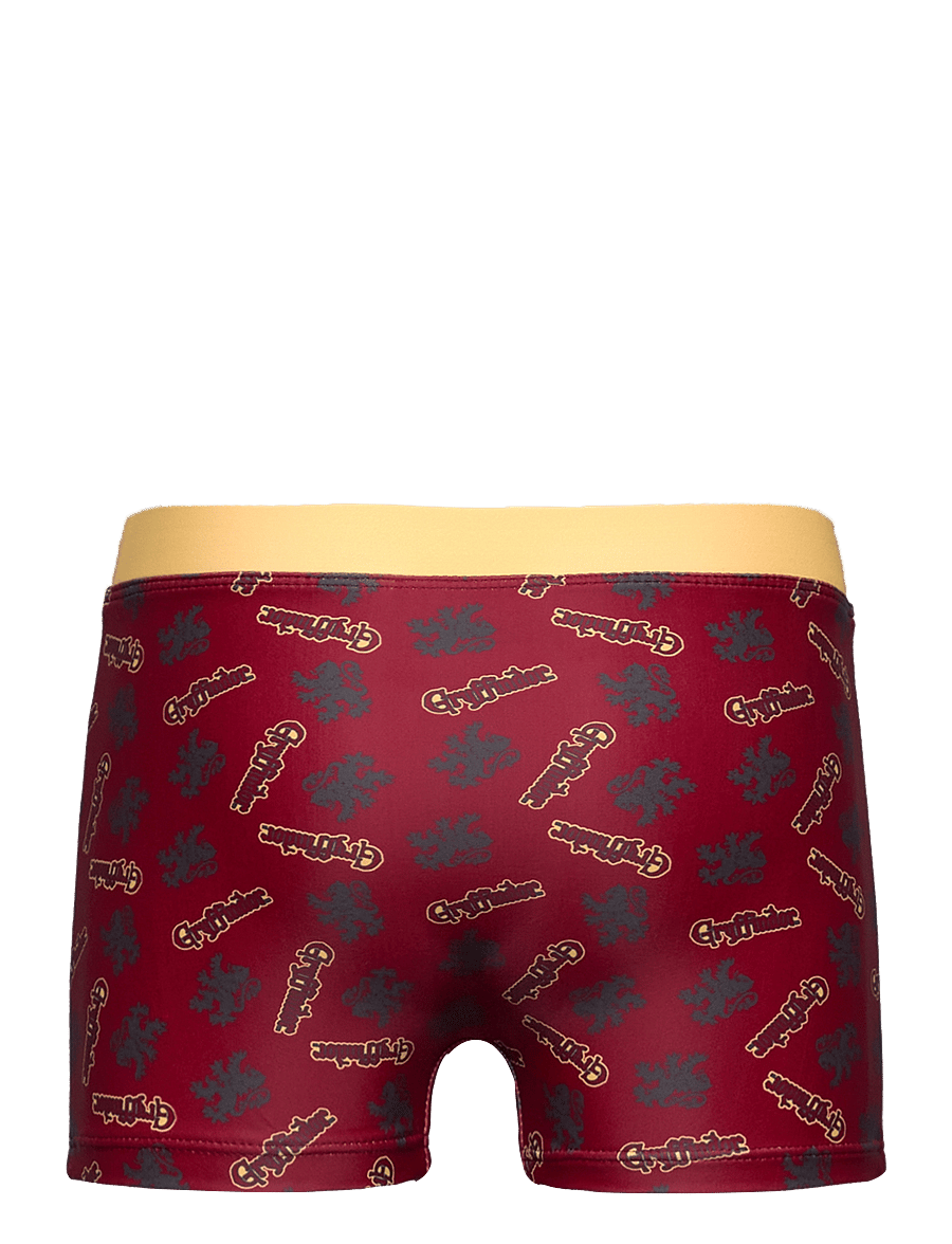 Harry Potter - SWIMSUIT - underbukser - dark red - 2