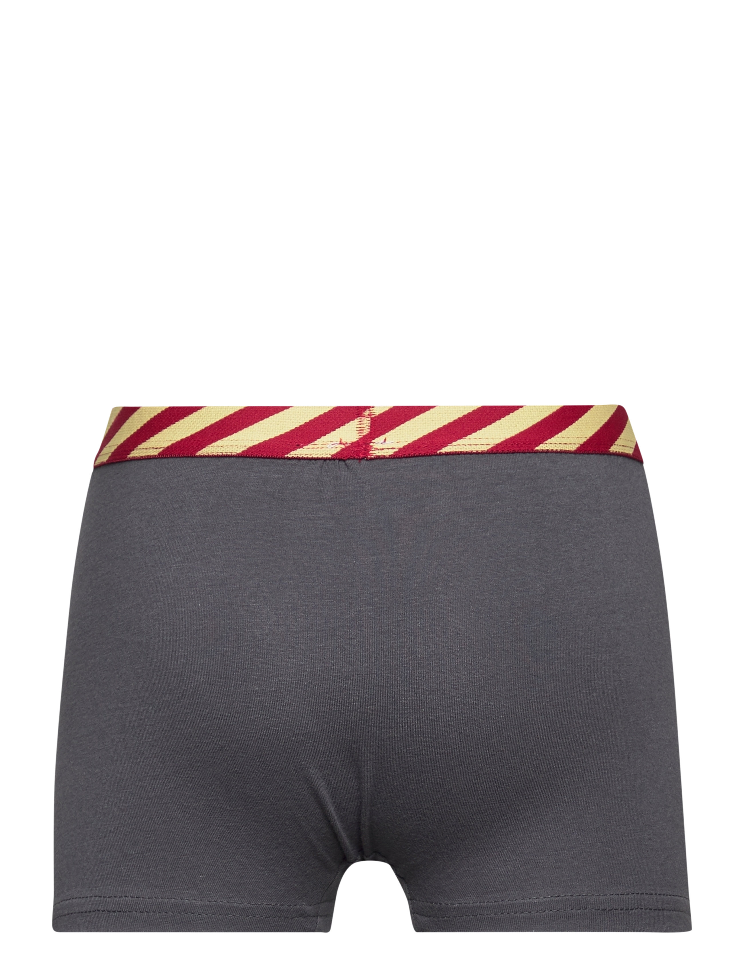 Harry Potter - SET 2 BOXERS - dgrey - 3