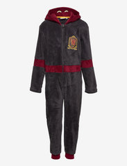 Harry Potter - JUMPSUIT - sleeping overalls - grey - 0