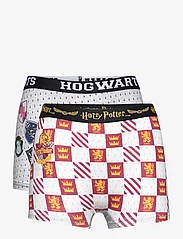 Harry Potter - LOT OF 2 BOXERS - underdele - grey - 0