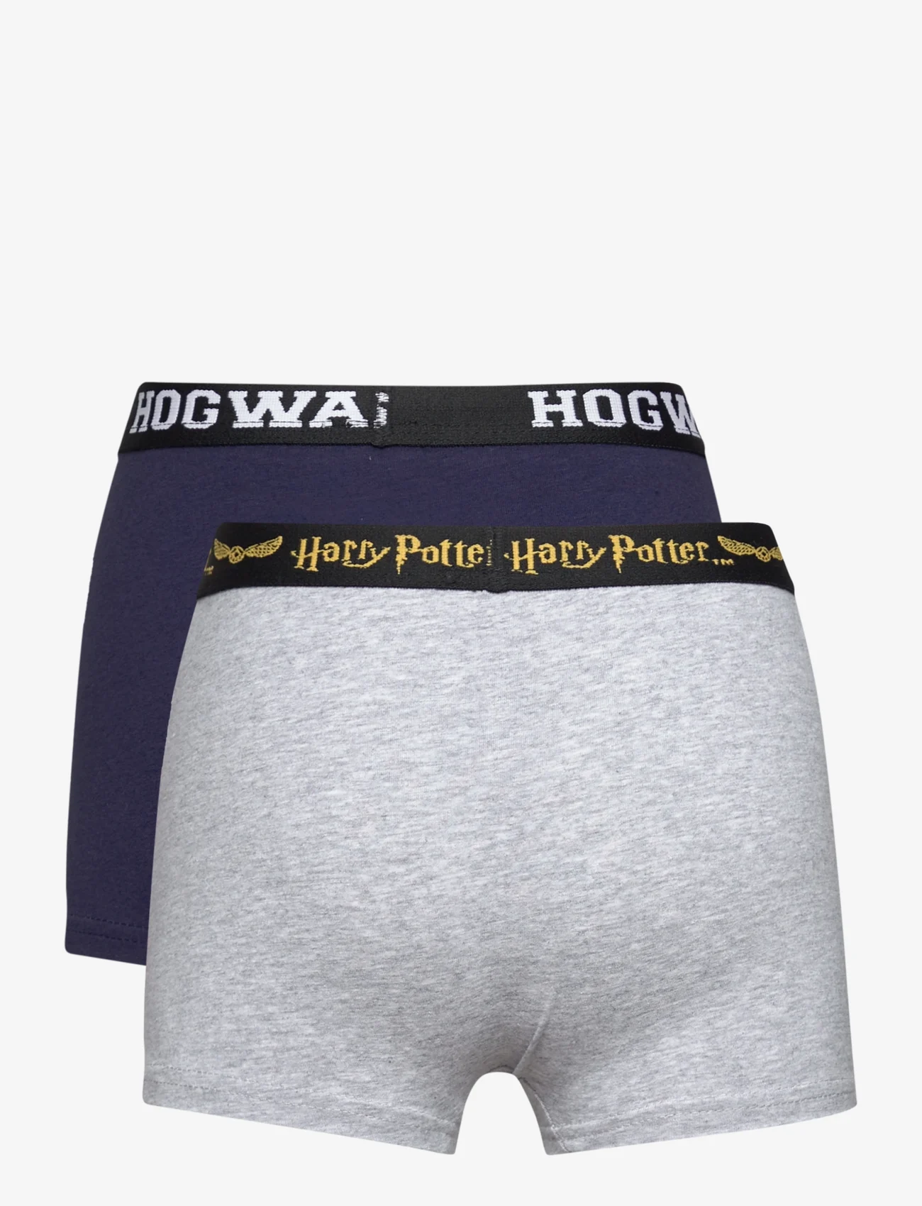 Harry Potter - LOT OF 2 BOXERS - underdele - grey - 1