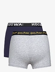Harry Potter - LOT OF 2 BOXERS - multipack - grey - 1