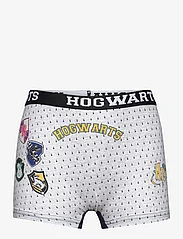 Harry Potter - LOT OF 2 BOXERS - underdele - grey - 2