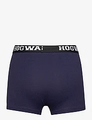 Harry Potter - LOT OF 2 BOXERS - bottoms - grey - 3