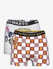 Harry Potter - LOT OF 2 BOXERS - bottoms - grey - 0