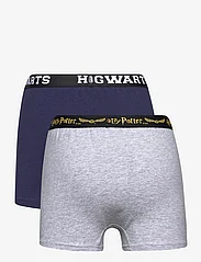 Harry Potter - LOT OF 2 BOXERS - bottoms - grey - 1