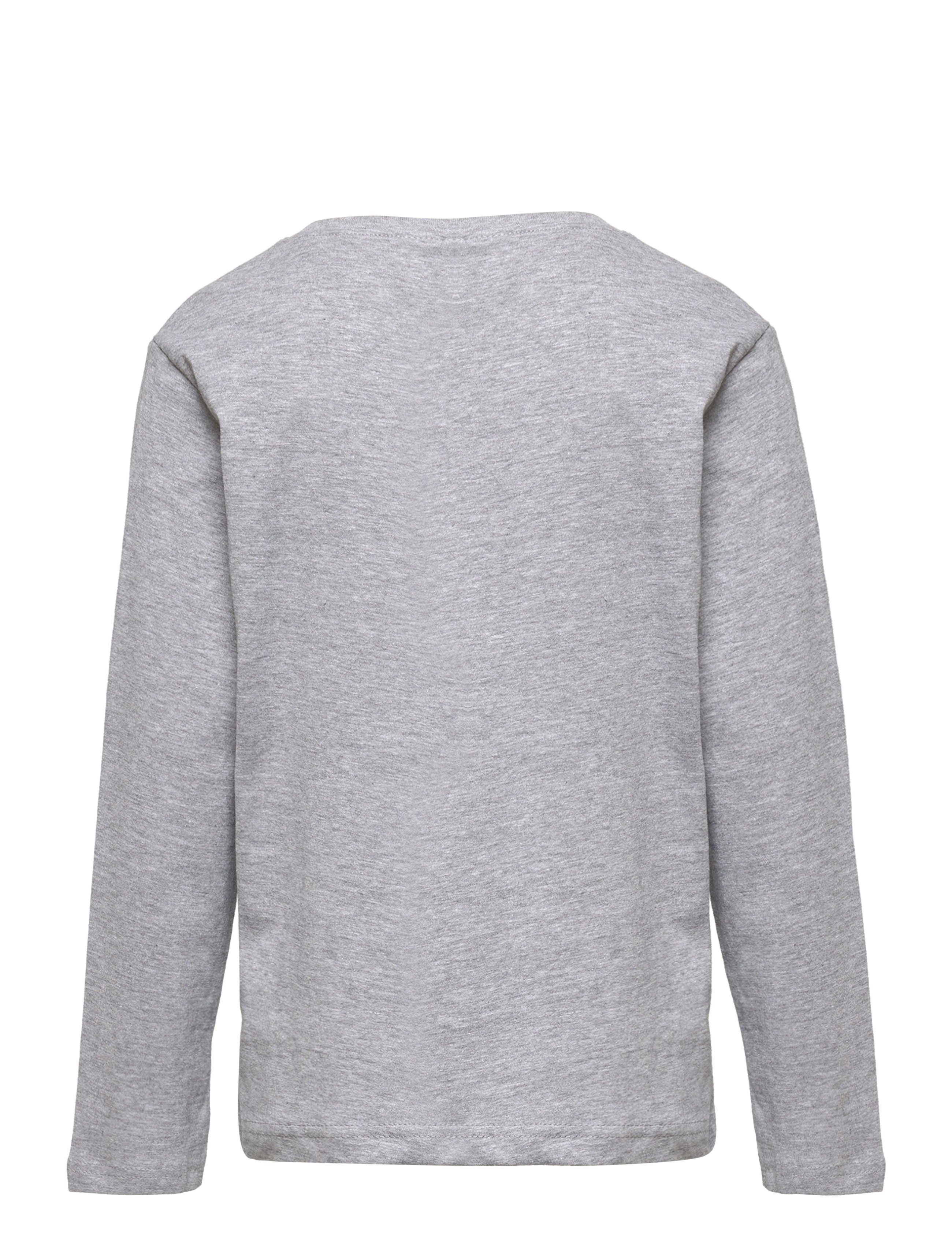 Harry Potter - LONG-SLEEVED T-SHIRT - grey - 1