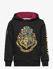 Harry Potter - SWEAT - džemperiai su gobtuvu - black - 0