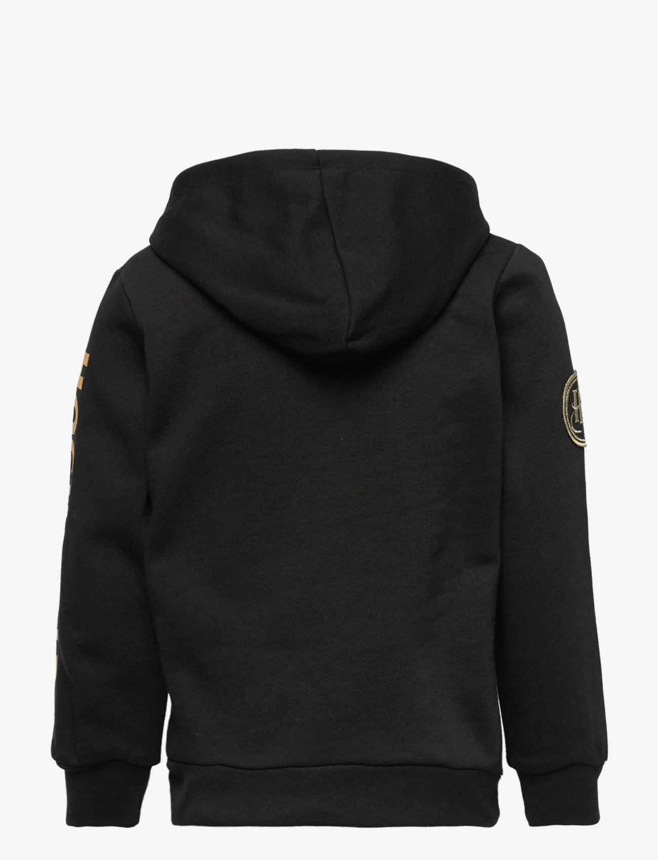 Harry Potter - SWEAT - hoodies - black - 1