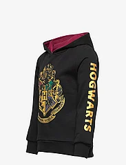 Harry Potter - SWEAT - hoodies - black - 2